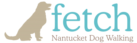Fetch Dog Walking